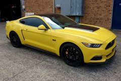 12987001_884780484984141_2154293019657407682_n