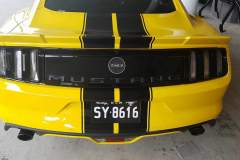 received_1564769753651874